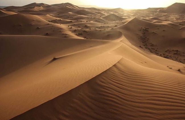 3 Tage von Fes nach Marrakesch Wüste Tour 2 Nächte - Foto 16