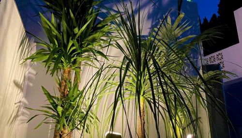 Villa Colina del Mar - With Heated Pool & Luxurious View near the beach - Foto 5, Garden