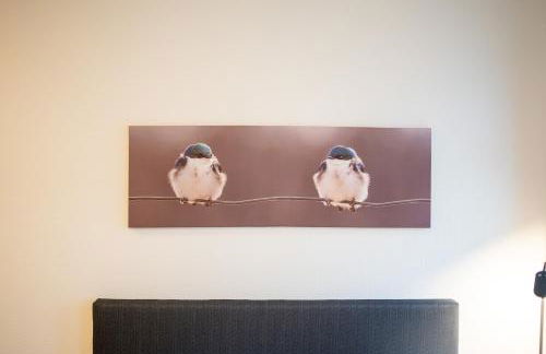 Modernes Studio Koblenz mit Küche, WLAN & Gemeinschaftsbad - Foto 31