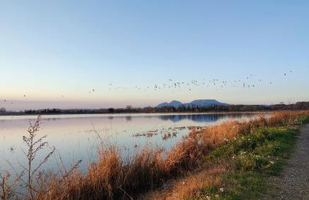 Can Costals Olivo - Foto 36