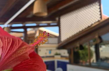 Blu Terrace - Foto 48