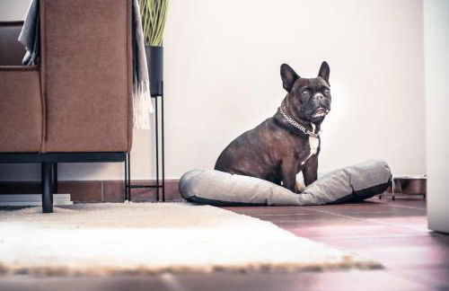 Apartment Elysium am Rosengarten - Photo 25