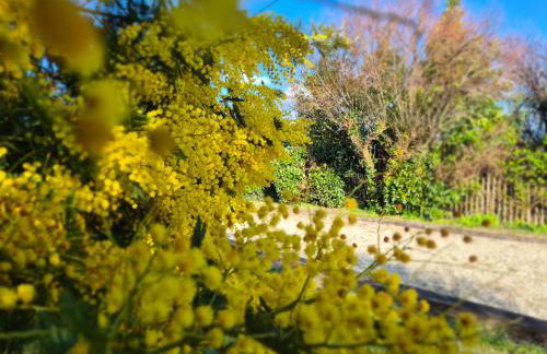 Villa Brocéliande - Les Tilleuls - Foto 32