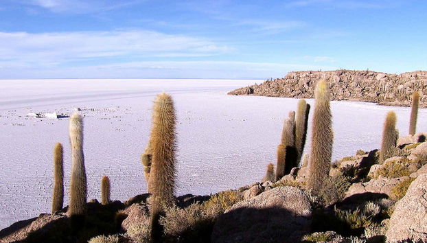 Uyuni Salt Flat