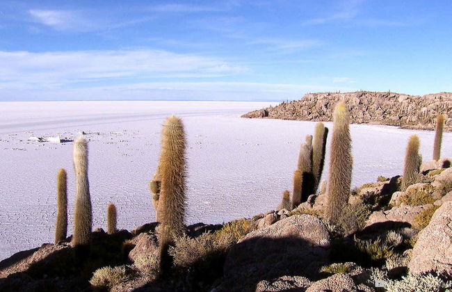 La Paz & Uyuni Salt Flat 3 Day Trip - Photo 4