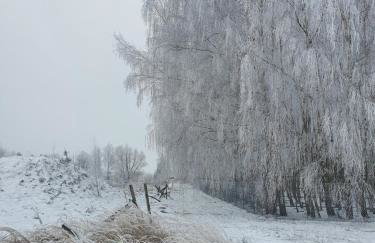 Gniazdo w Felicjanowie - Foto 7