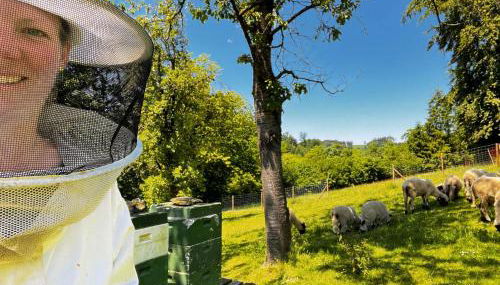 Conzen Hof am Hennesee - Foto 5