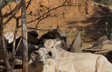 Suítes Recanto das Flores 1 - Foto 6