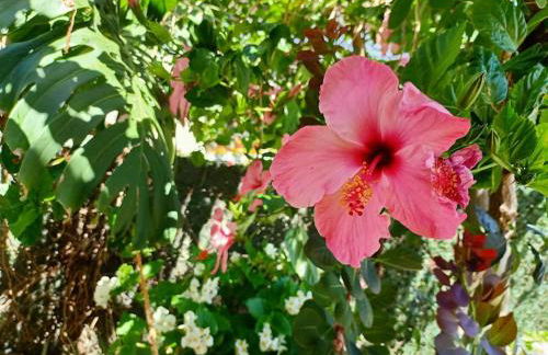 VILLA FALCONERA APARTAMENTS, GANDIA a las faldas de la montaña RELAX & PETS - Foto 35