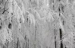 Ferienwohnung Bachstelze mit privater Terrasse - Foto 55