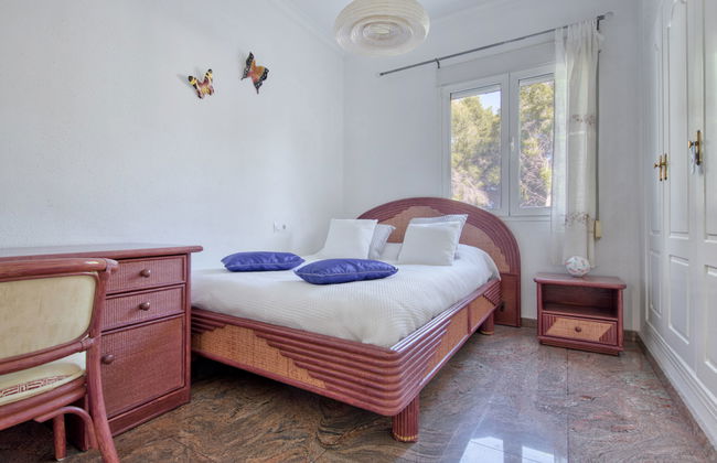 Eucaliptus - Foto 21