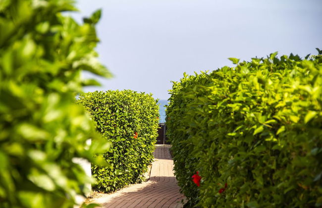 Atlantis Gardens - Foto 76