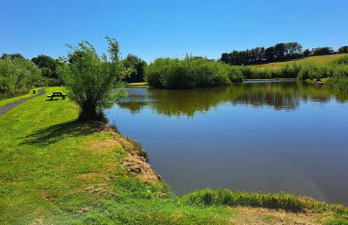 Tir Eironwy - Photo 19