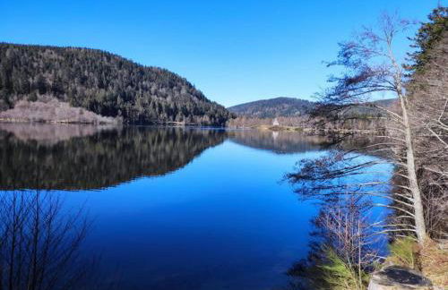 Chalet Paradis, panoramic view, garden & terrace - Foto 28