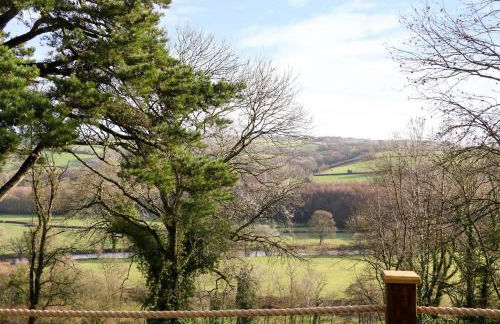 Little Silver Leaf - Foto 16