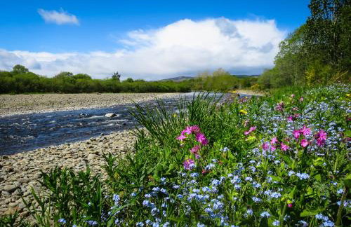 The Five Turrets: Stay in Scotland in Style in a Historic Four-bed Holiday Home - Foto 79