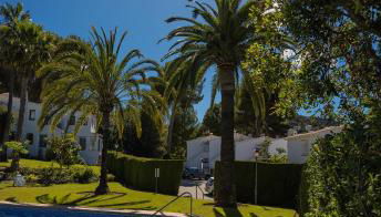 Beach & mountain retreat Los Almendros - Foto 5, Garden, Garden view