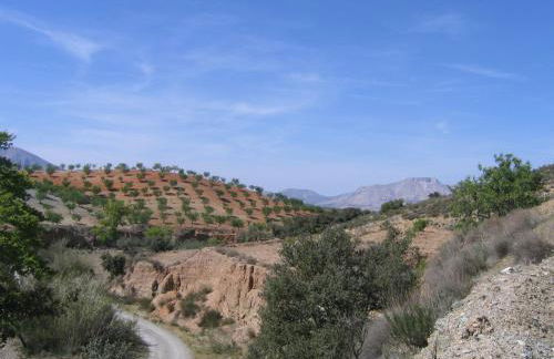 Cortijo La Estrella - Foto 34