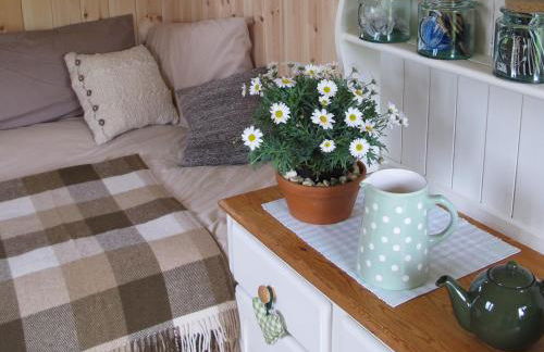 Marshwood Farm B&B and Shepherds Hut - Foto 20