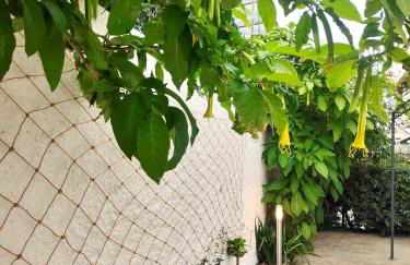 AlisHome, Sanremo - Foto 71