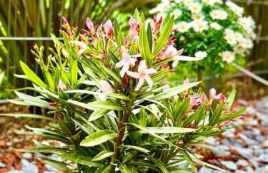 NEW LUX Smart Home 69m2,Terrasse, Modern, Metro 13 - Foto 12