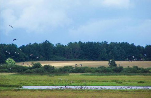 3 Bedroom Awesome Home In Postomino - Foto 28