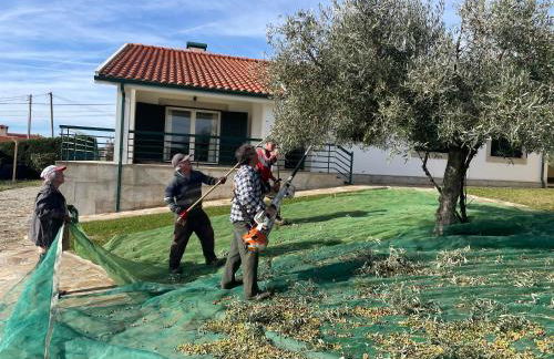 Quinta de Toubres - Foto 60