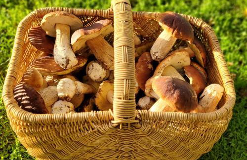 Przystań na Zagórzu - Apartamenty nad jeziorem - Foto 68