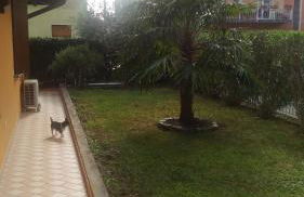 nido di dafne - Foto 38