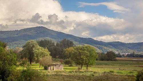 Pension Nickel Ferienwohnung EG Am Holzlachgraben - Foto 2