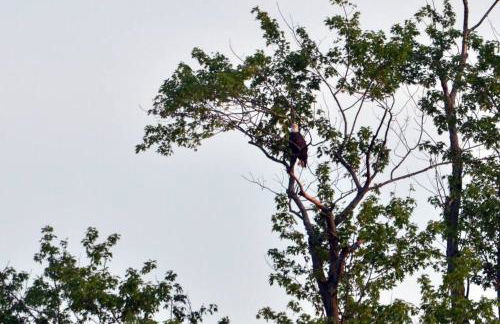 Beautiful Yacht on Catskill Creek - Foto 17