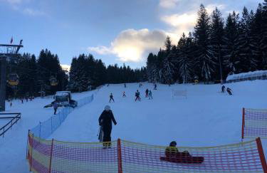 Izerska Zagroda - Foto 20