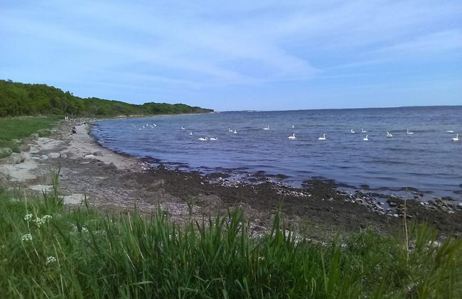 4 Person Holiday Home in Karrebaeksminde - Foto 24