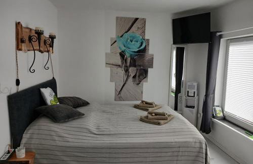 Chillkröte - Foto 22