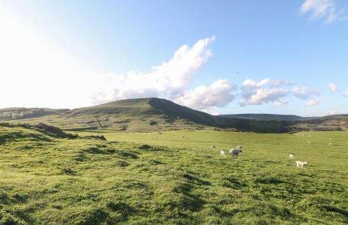 Chandler House - Foto 45