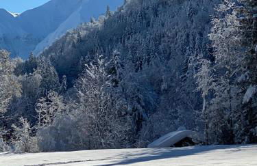 Landhaus am Plattenbichl - Luxus Apartment mit Pool und Sauna - im Sommer Bergbahn inklusive - Photo 24