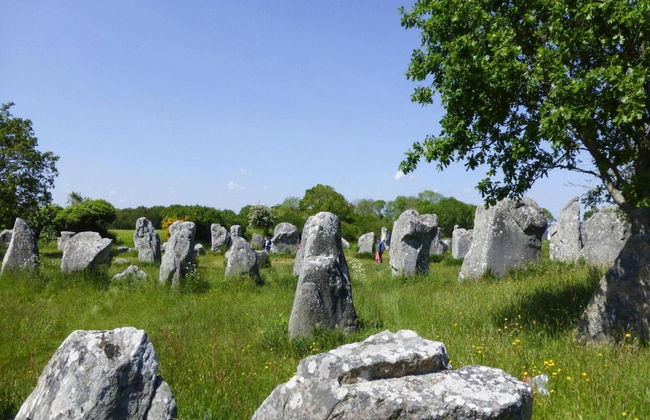 Holiday Home Near Gulf of Morbihan Beach - Foto 24