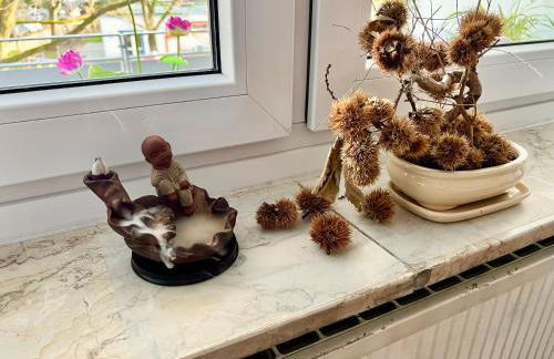 Stylish, Cozy & Quiet Apartment with one and half rooms in District 1 - Foto 25