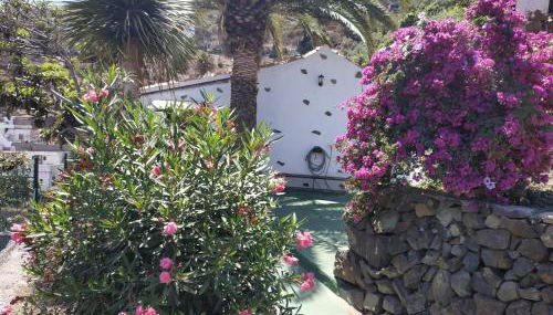 Finca Lomo Grande - Foto 4