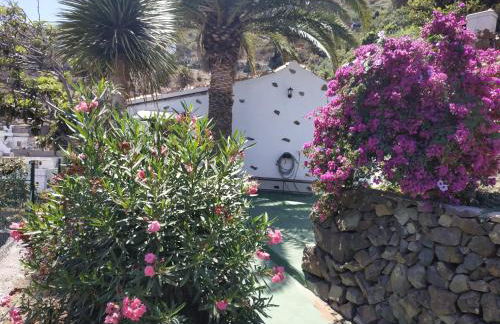 Finca Lomo Grande - Foto 4