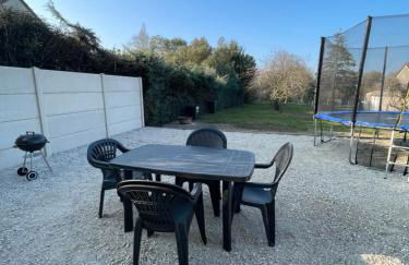 Les oiseaux du paradis - Foto 11