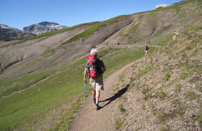 Sumpfbödeli - Foto 5