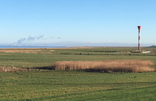 Deichschätzchen - Foto 23