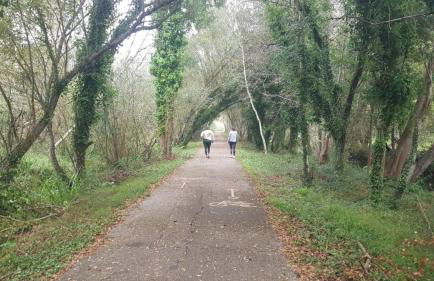 Casa da Mata - Foto 51