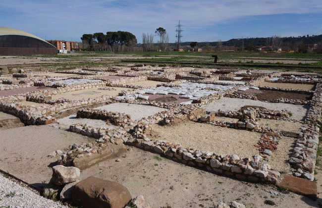 Tour in Alcalá de Henares - Photo 2