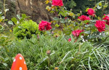 Encosta do Sol - Foto 36