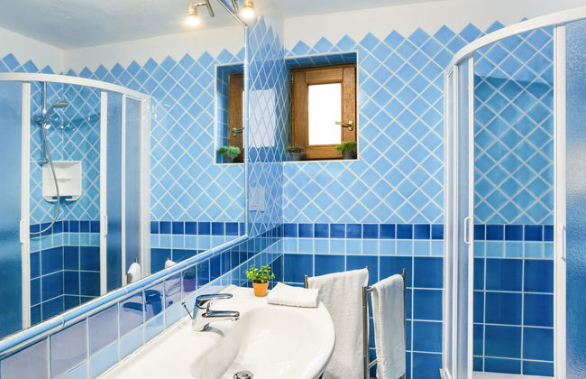 Bougainvillae Trilo Plus - Foto 15