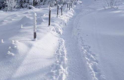 Gîte confortable pour 6 près des pistes, animaux admis - FR-1-496-138 - Foto 15