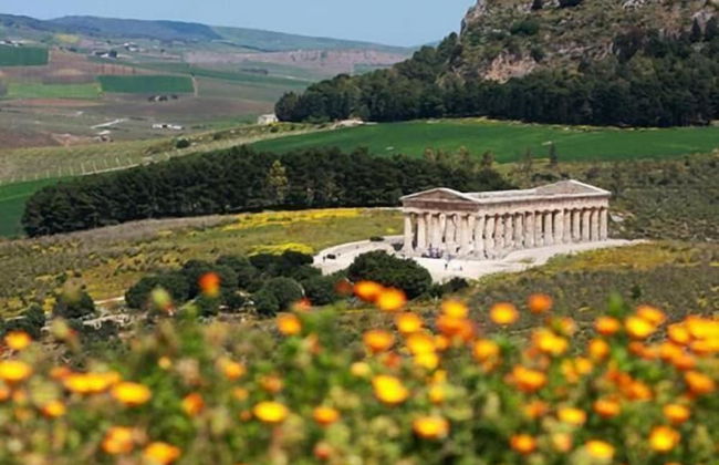 Tenute Margana - Foto 22