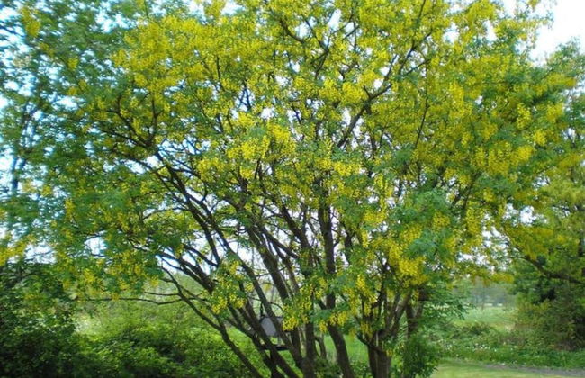 Farmhouse in Friesland Near Frisian Waters - Foto 39